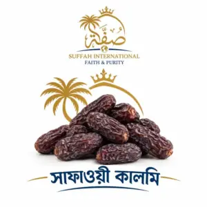 সাফাওয়ী কলমি (জাম্বু)